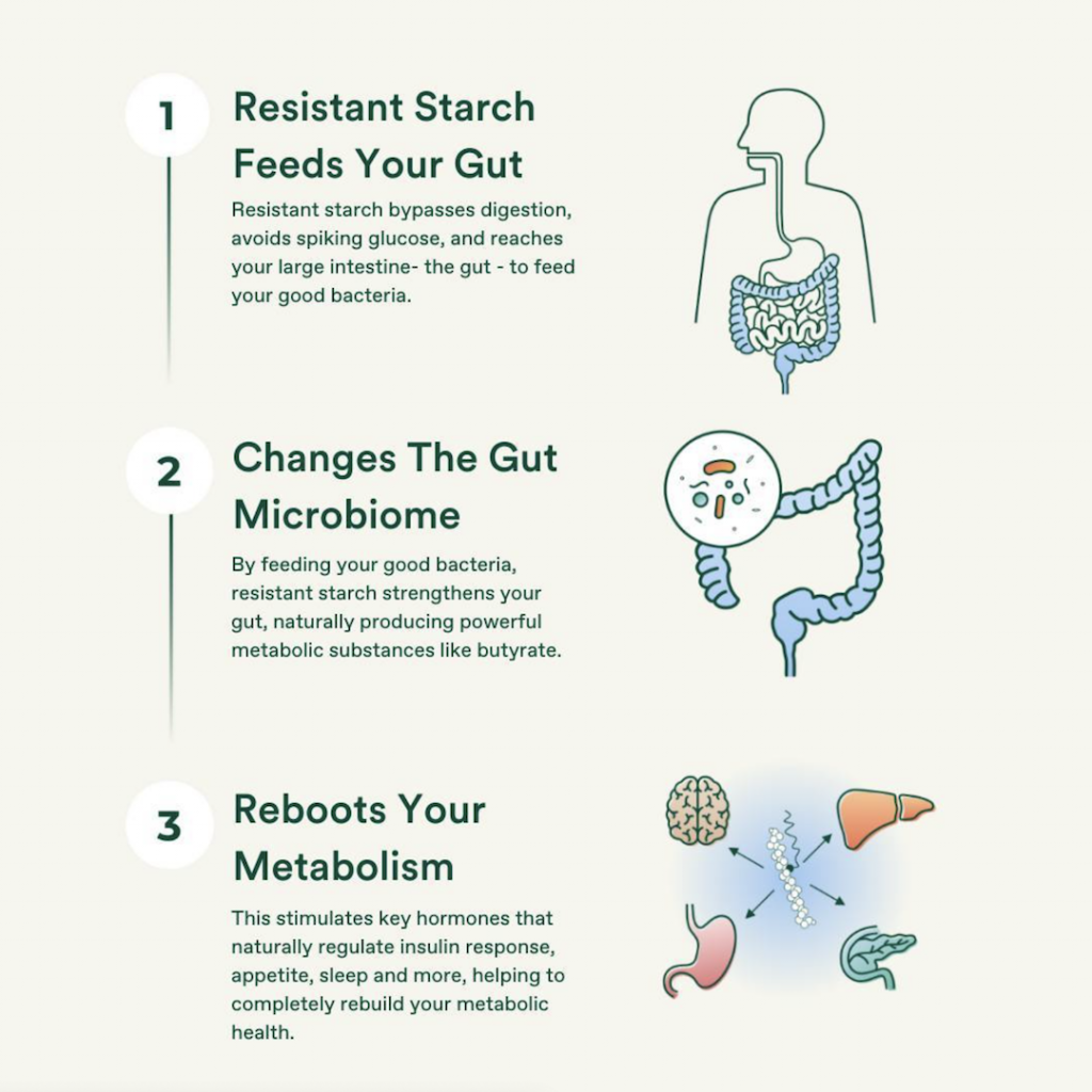 A 3 step illustration of how resistant starch feeds to the gut microbiome