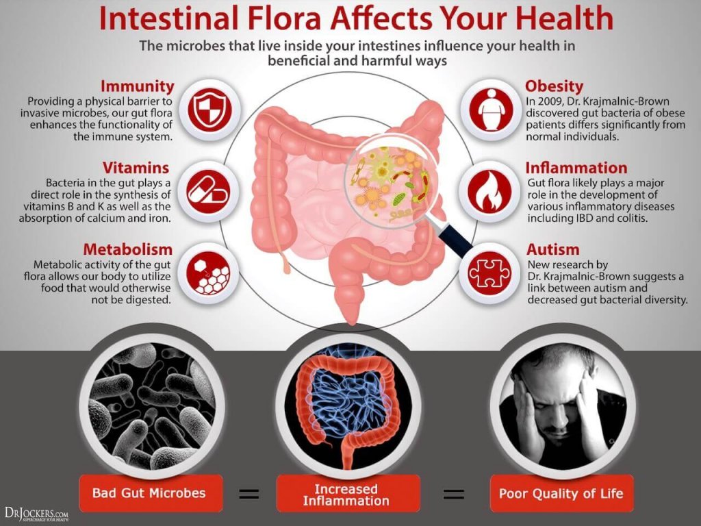 an image showing intestinal flora affecting health conditions